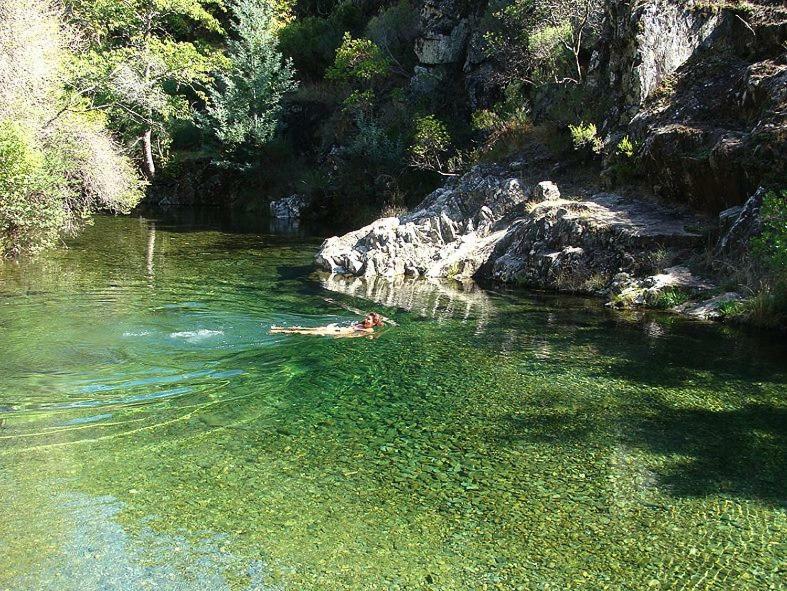 Cha de Alvares A Casa Da Natalia旅馆 外观 照片