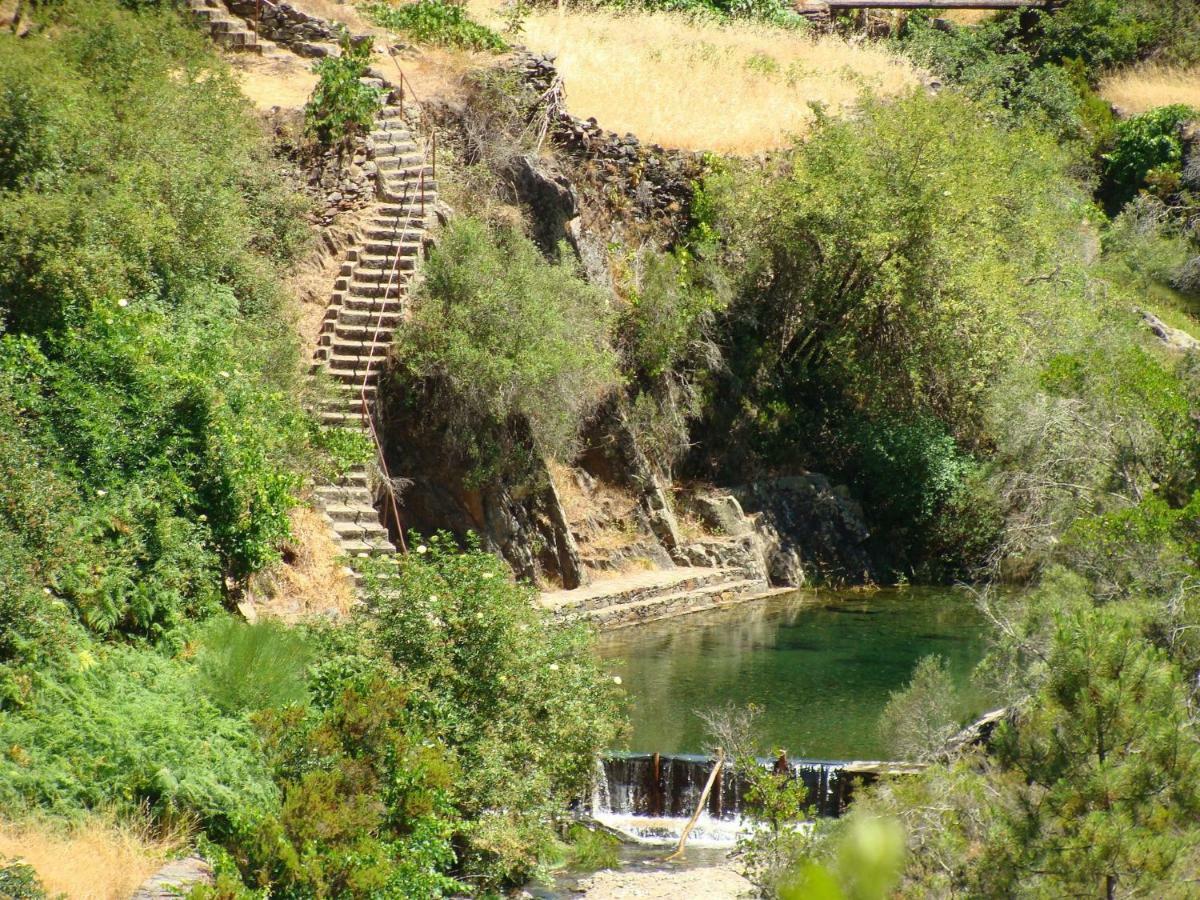 Cha de Alvares A Casa Da Natalia旅馆 外观 照片
